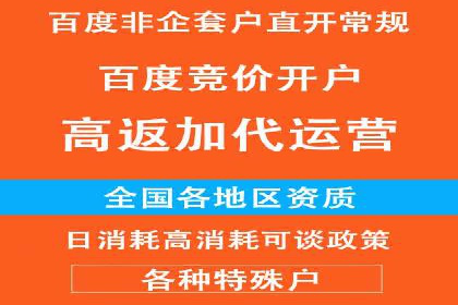 成功案例：百度推广代理商助力产品快速崛起